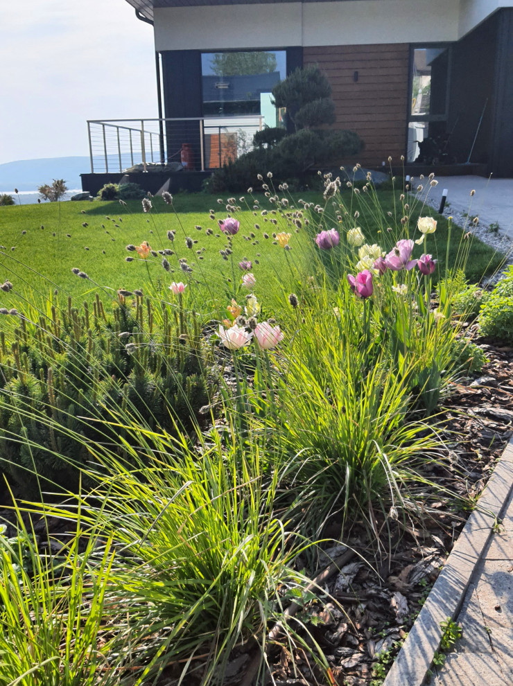 Сад с видом на Волгу