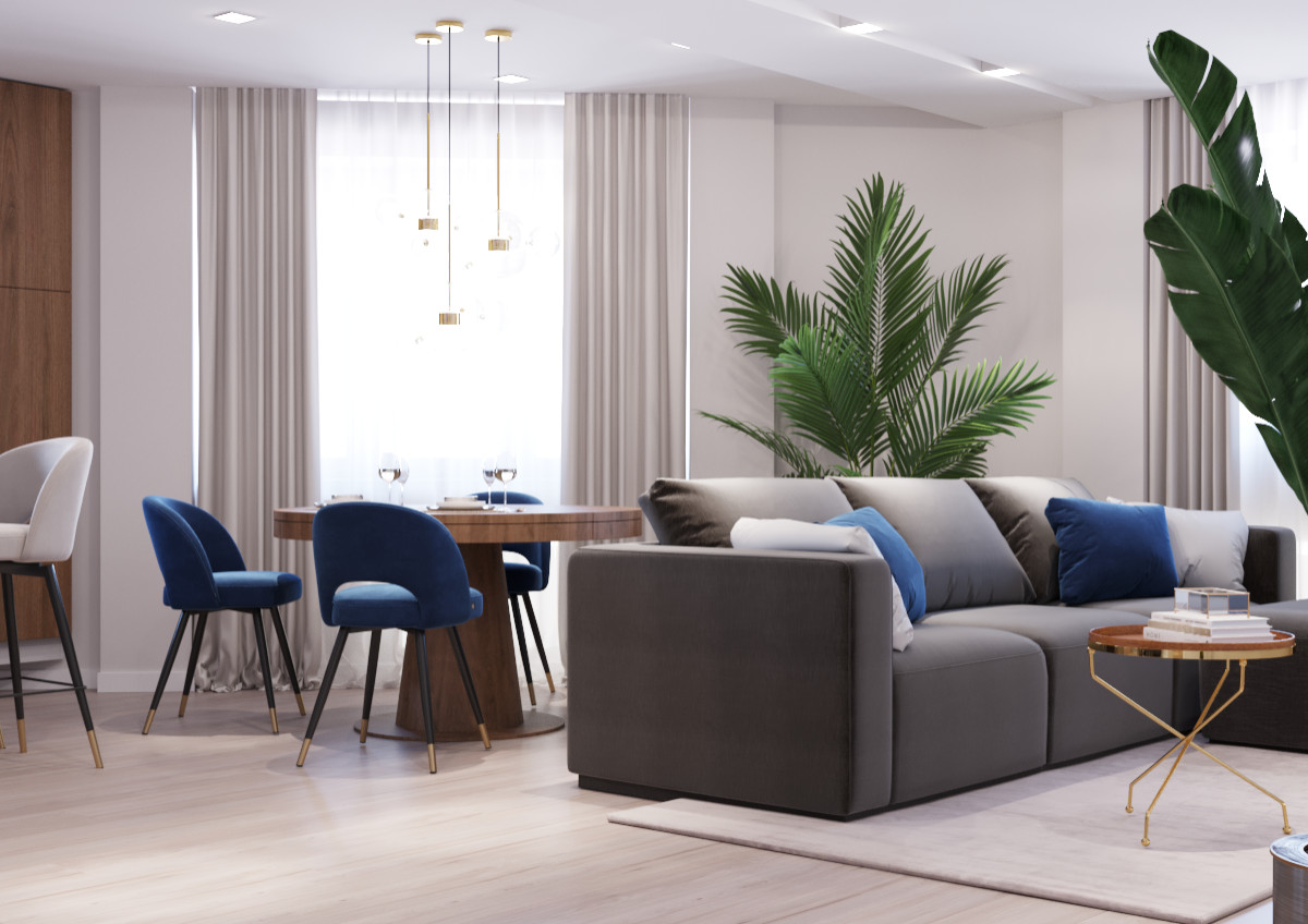 Кухня-гостиная