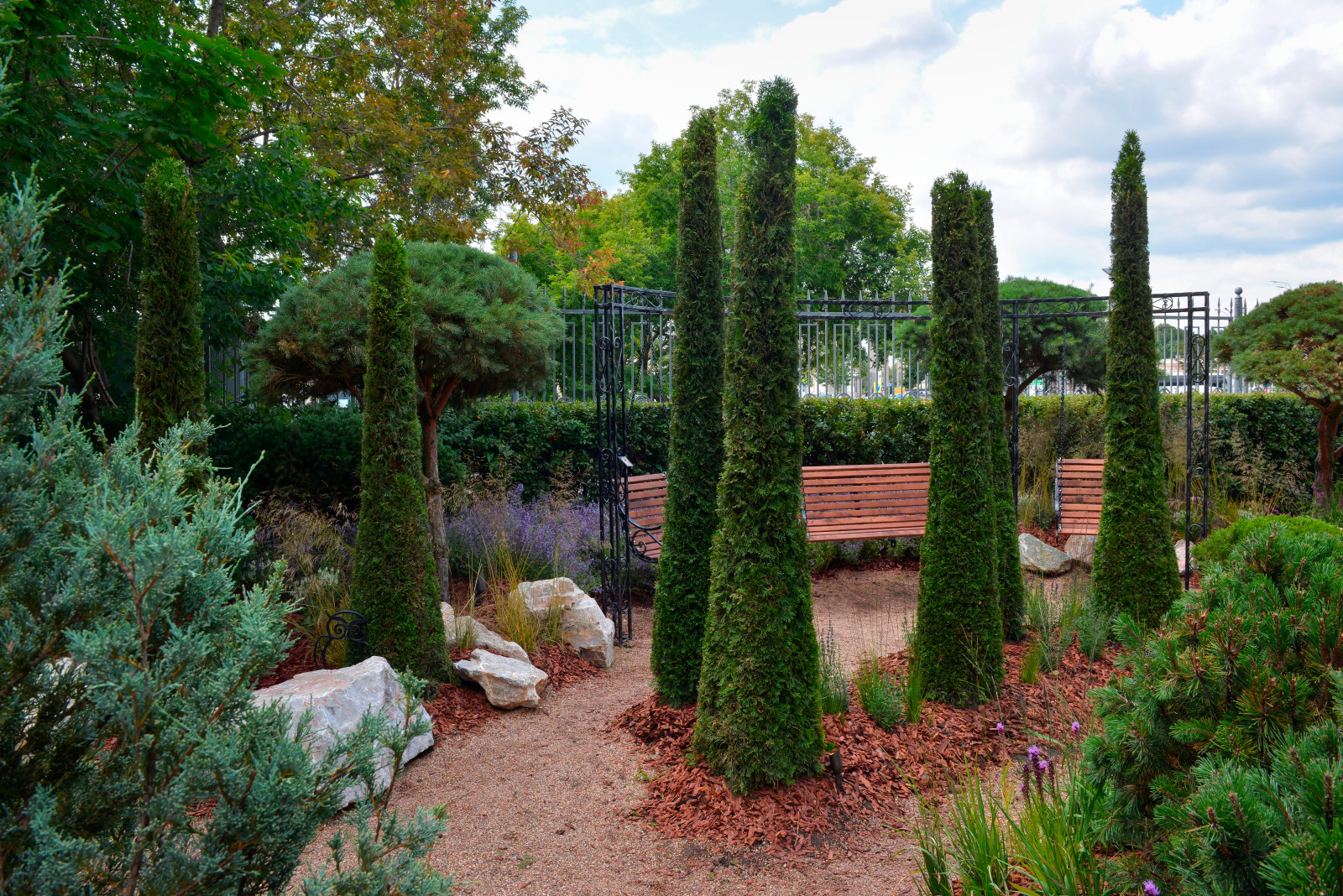 MFS2019 Silver проект "Солнечная тропа"