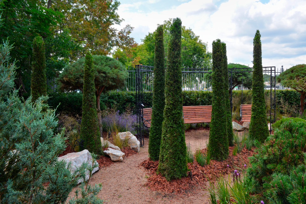 MFS2019 Silver проект "Солнечная тропа"