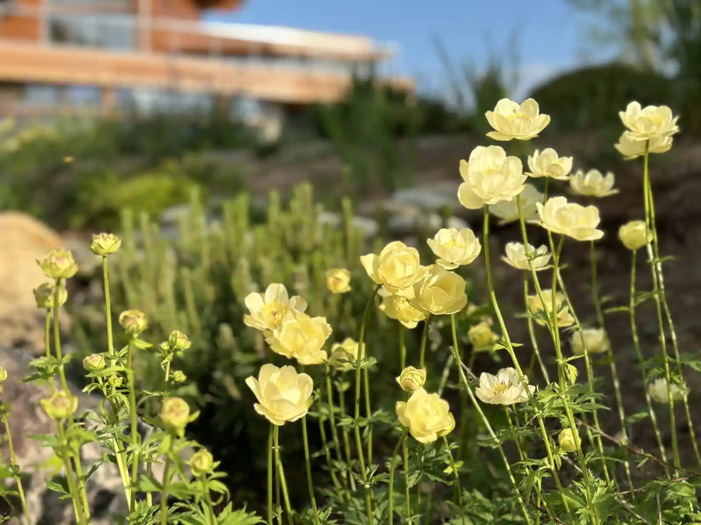 «НА ЗАПОВЕДНЫХ БЕРЕГАХ»