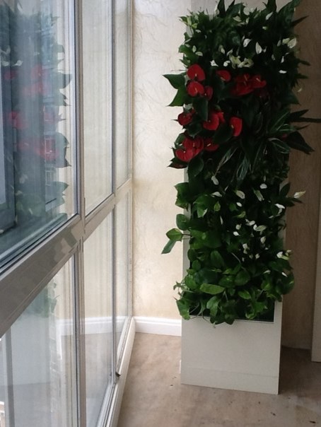 Азбука цветовода: Выбираем растения для вертикального сада