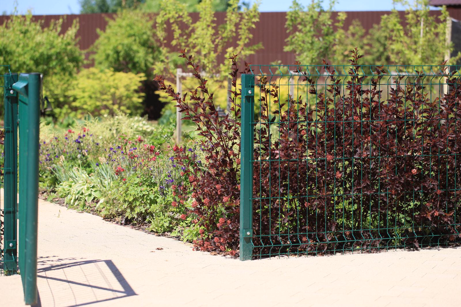 Сад с румянцем