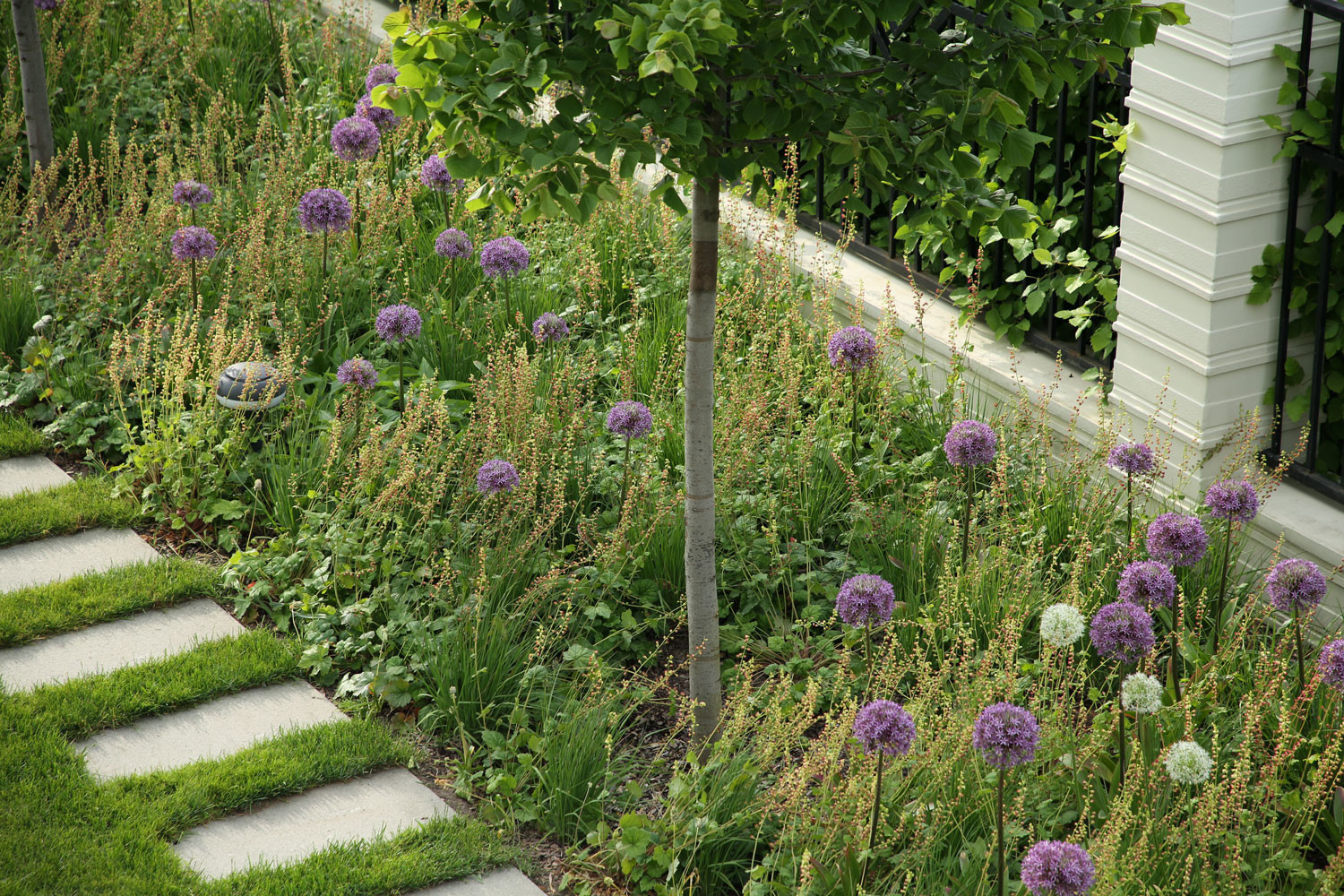 Северо-Запад