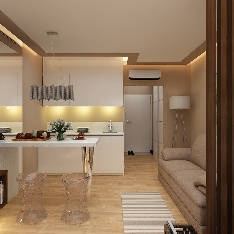 Кухня гостиная прихожая