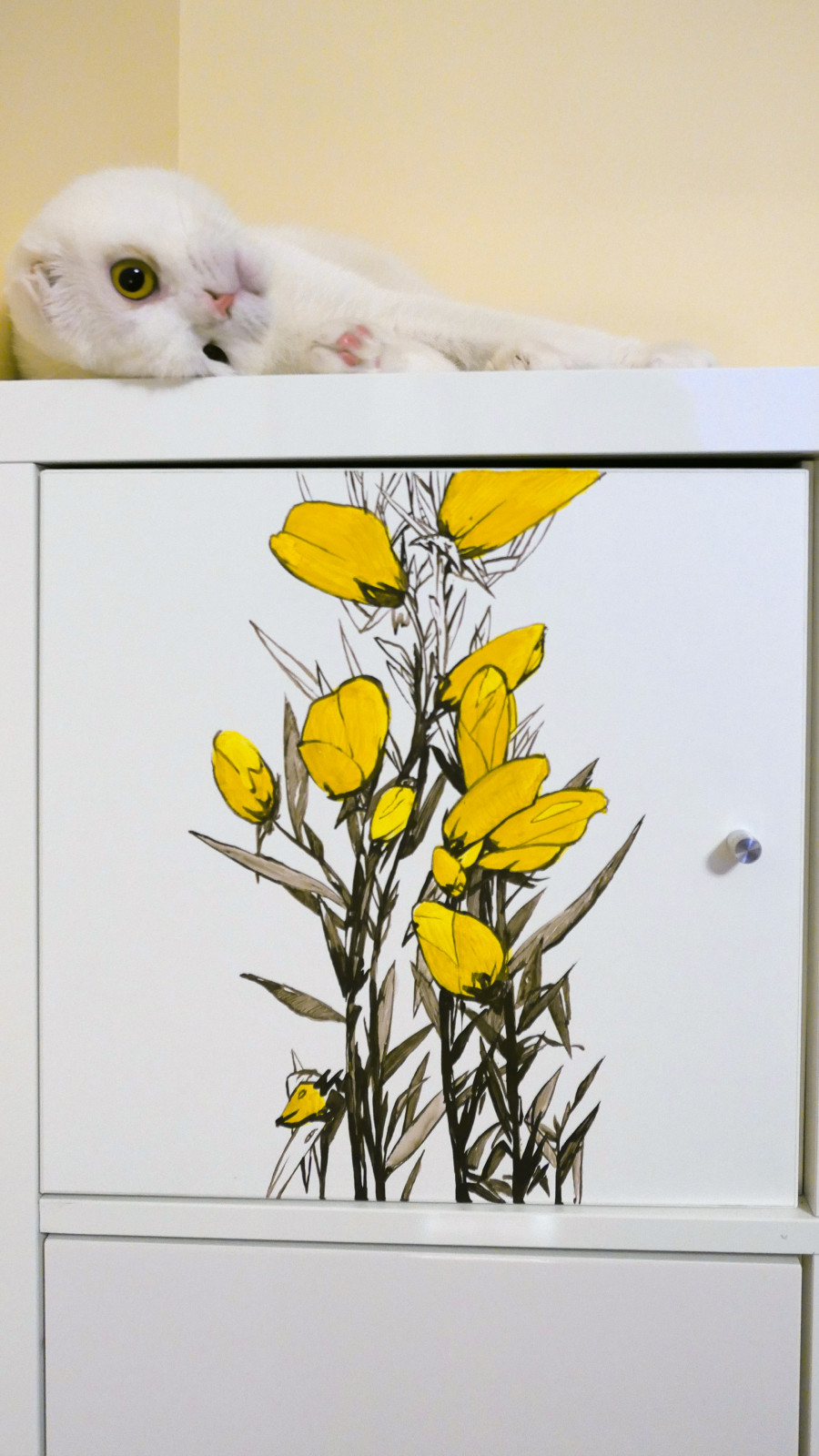 Двухкомнатная квартира для молодой пары с котом.