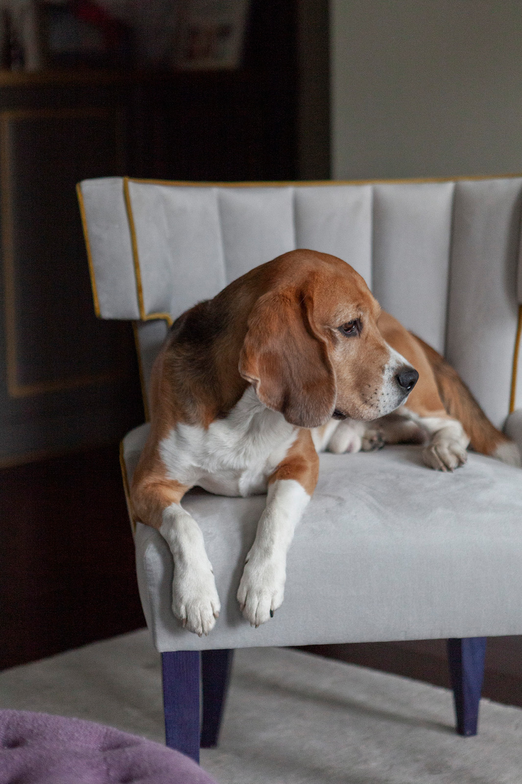 До и после: Квартира в историческом центре Санкт-Петербурга
