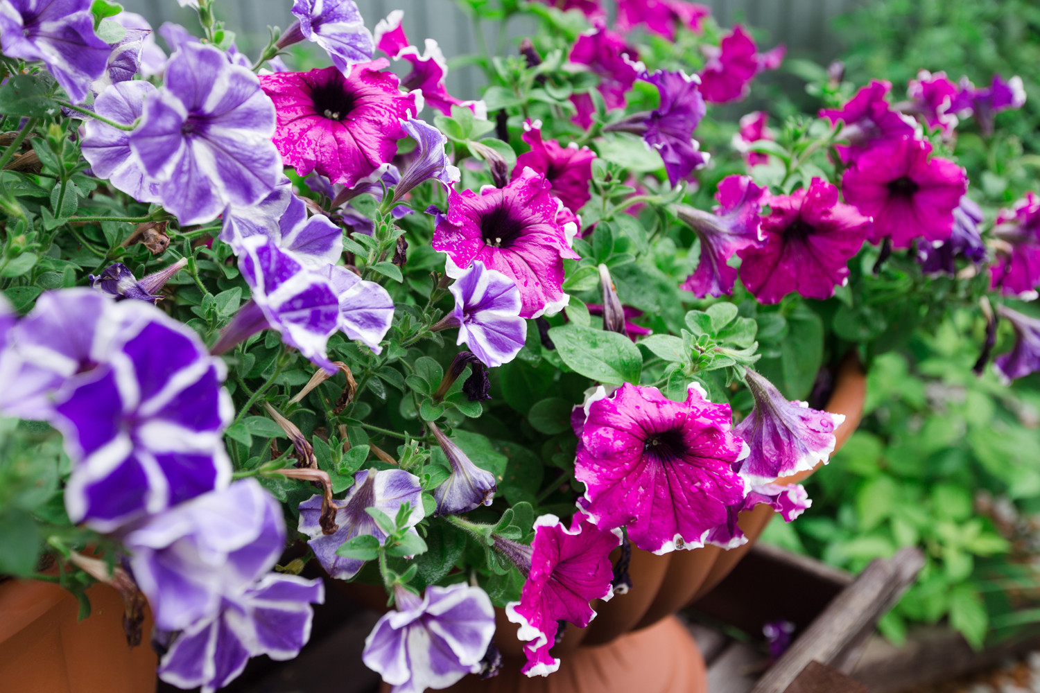 Экстерьер загородного дома