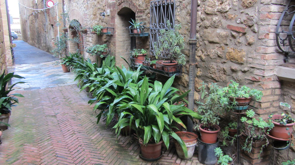 Городское озеленение