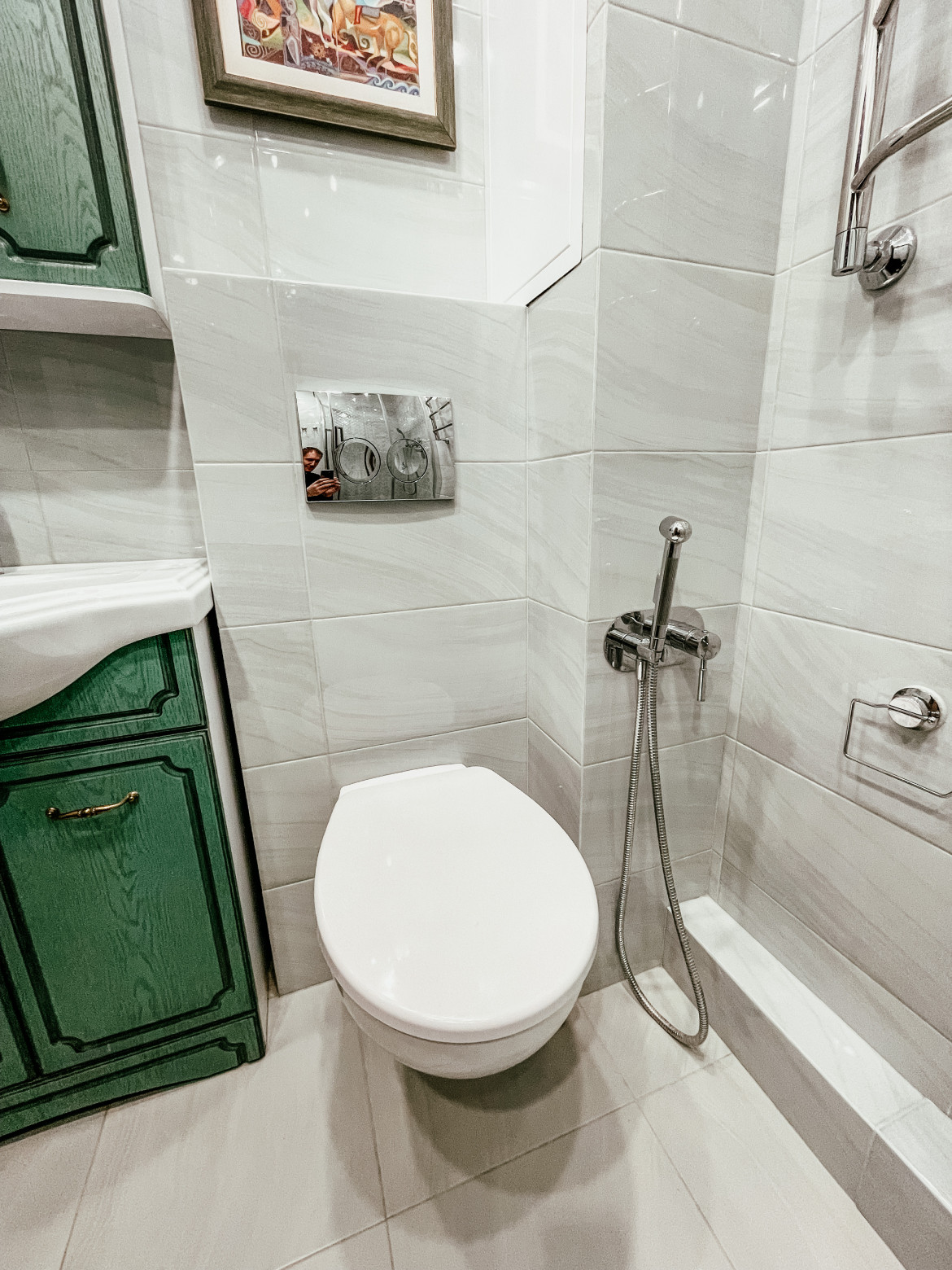 Обложка проекта: Совмещение санузла на Домодедовской