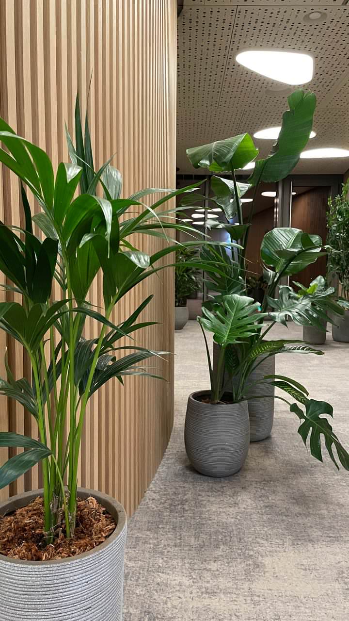 Всесезонный отель "Манжерок"