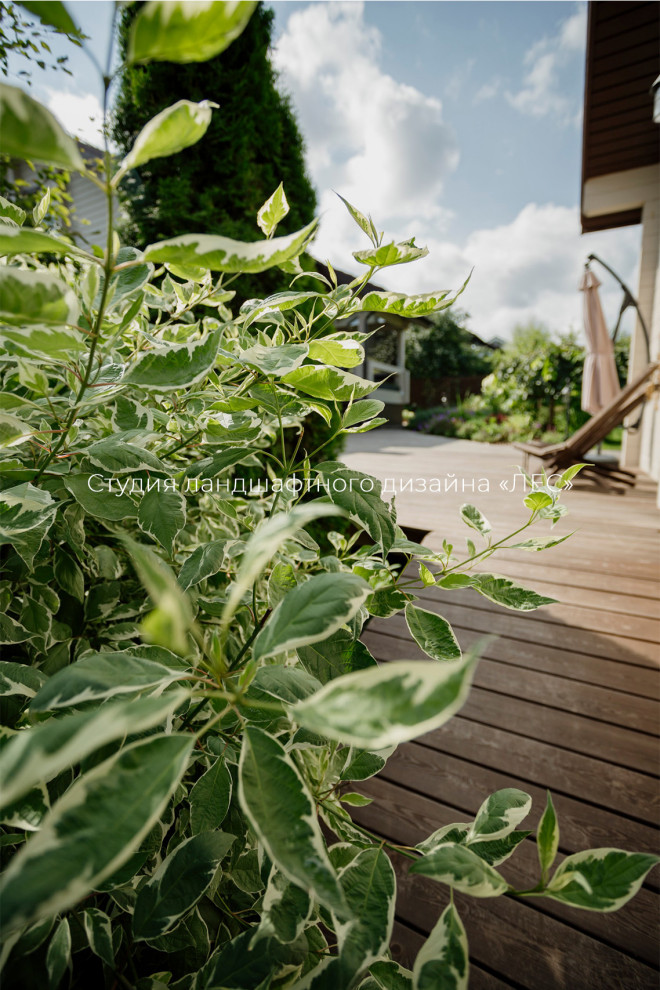 КП "БРУСЛАНДИЯ"