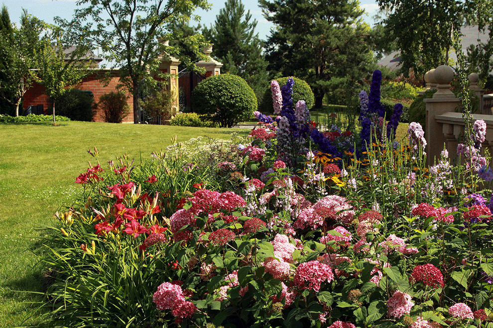 Обложка альбома: Сад Малиновый этюд
