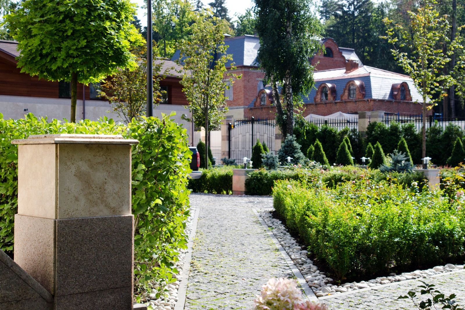 Глянцевый лес