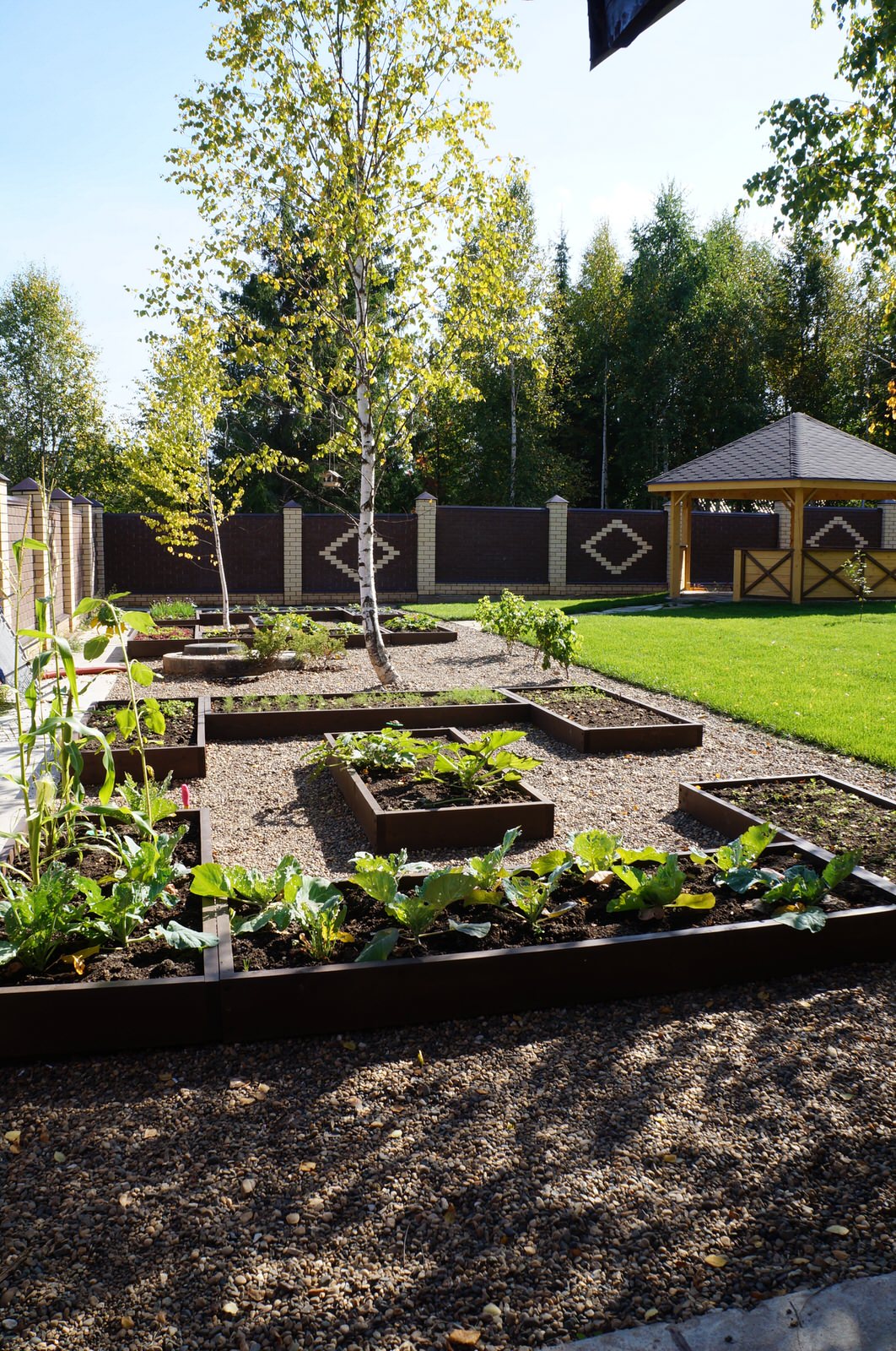 АМ Терра Верде