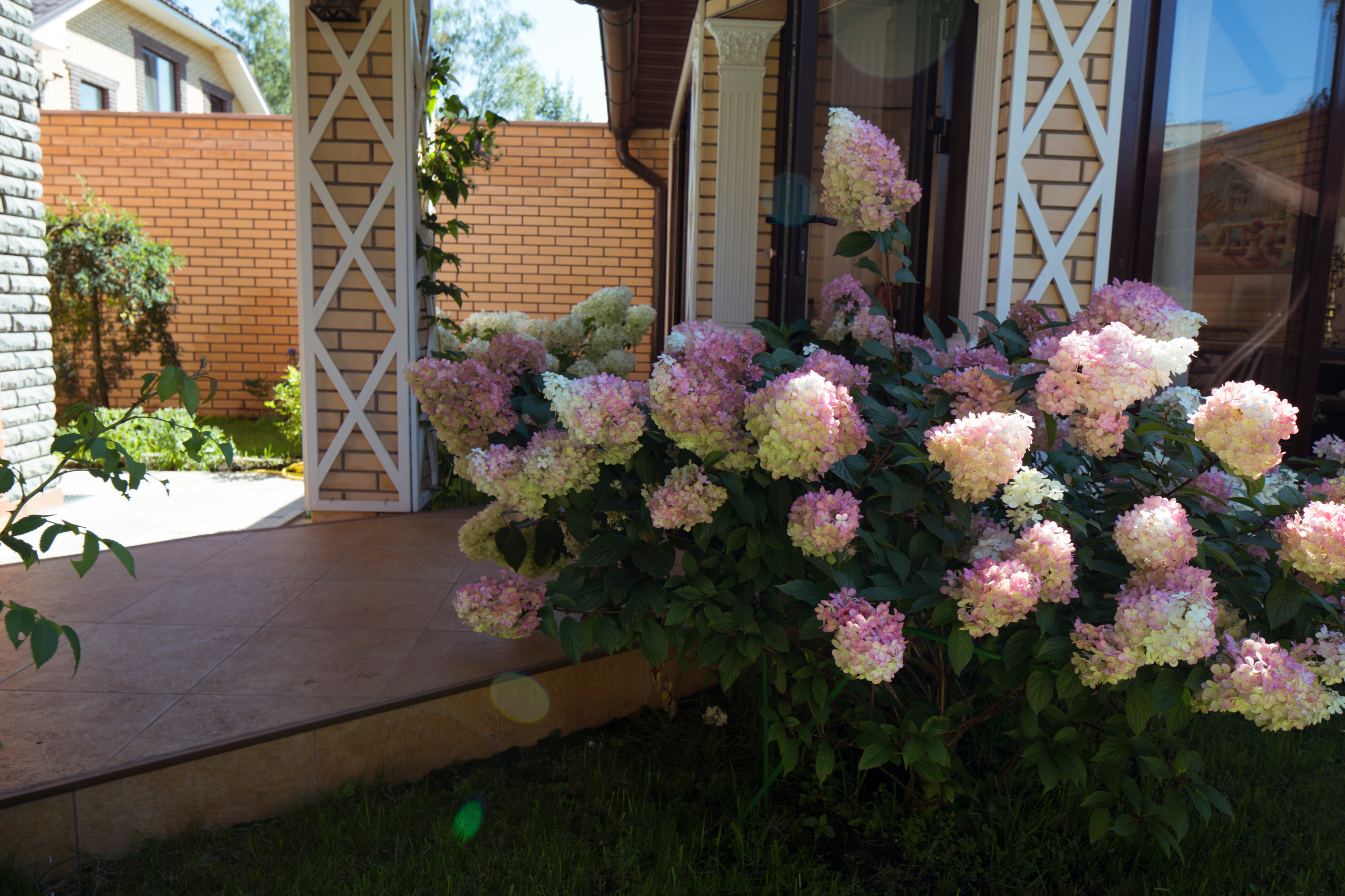 В гостях: Компактный сад, где работает каждый сантиметр