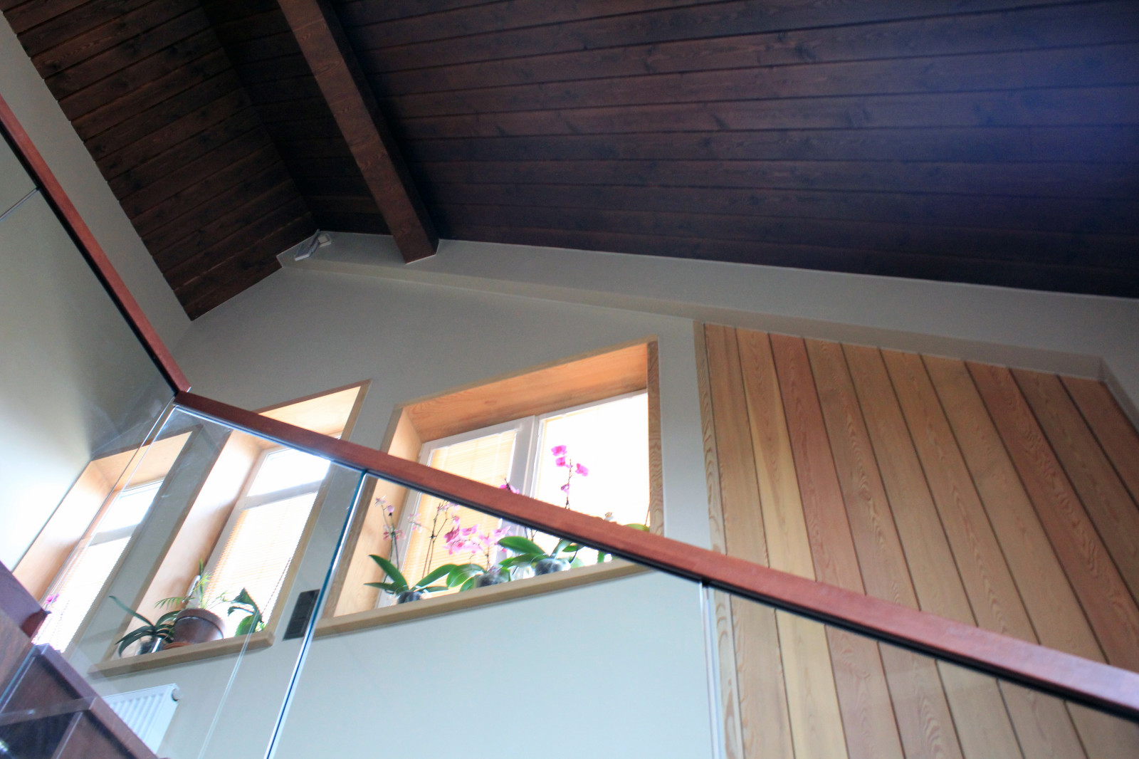 Обложка проекта: Имбирь Сан