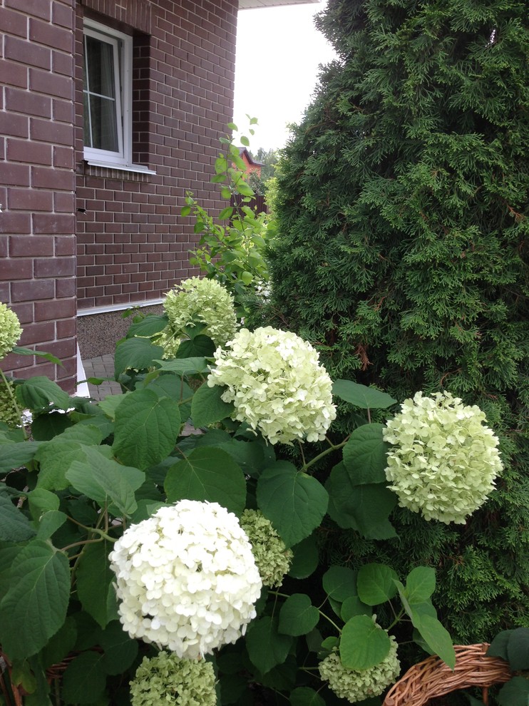 Вавиловец 1