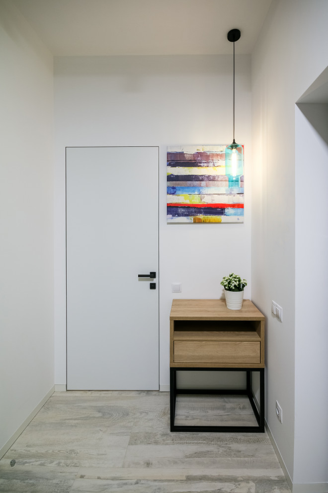 Квартира для молодой студентки. Холл.