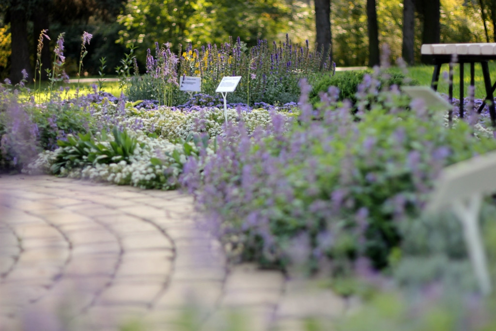 Ландшафт. Цветник в ГБС Москвы (по заказу ландшафтной компании «Формула Сада»)