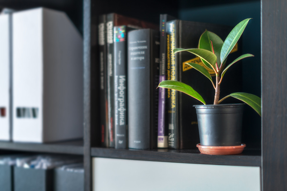 Реализованный проект офиса для студии дизайна