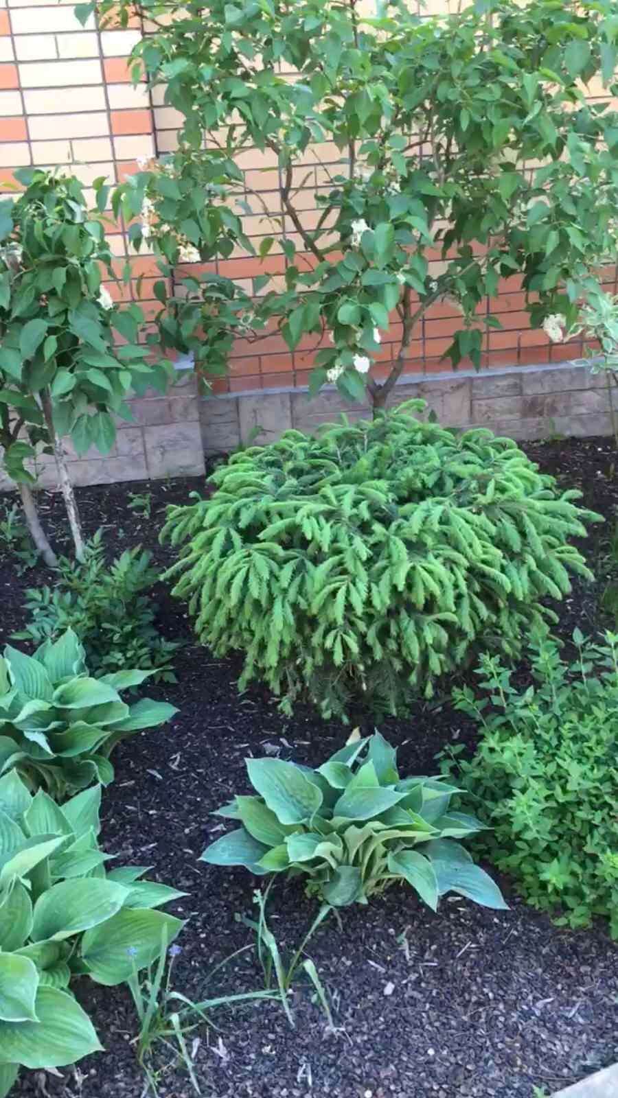 Ландшафтный дизайн участка 8,5 соток.