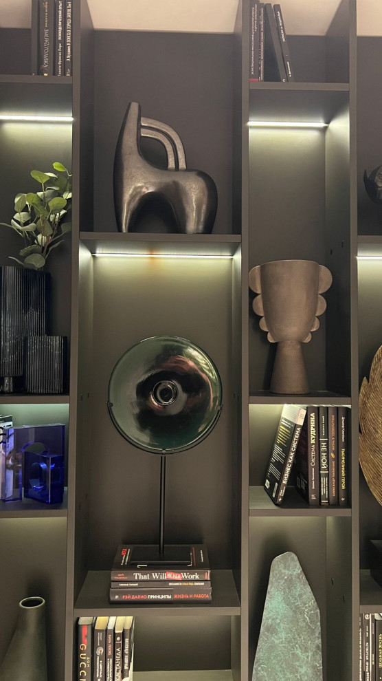 Фотосессия  - двери, мебель и перегородки в московской квартире