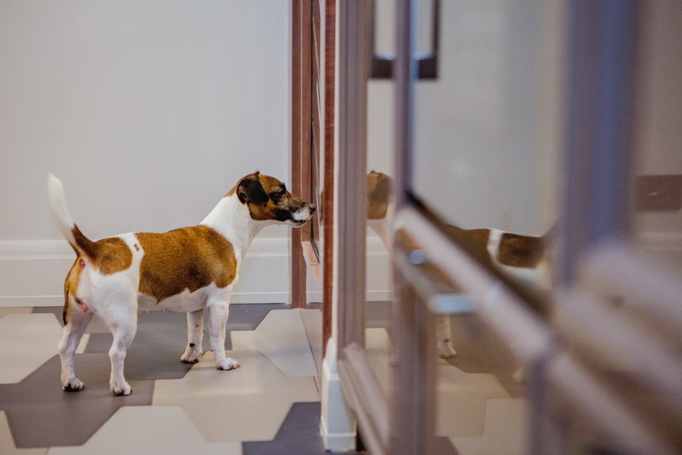 Скромное обаяние буржуа \\ гостиная-кухня