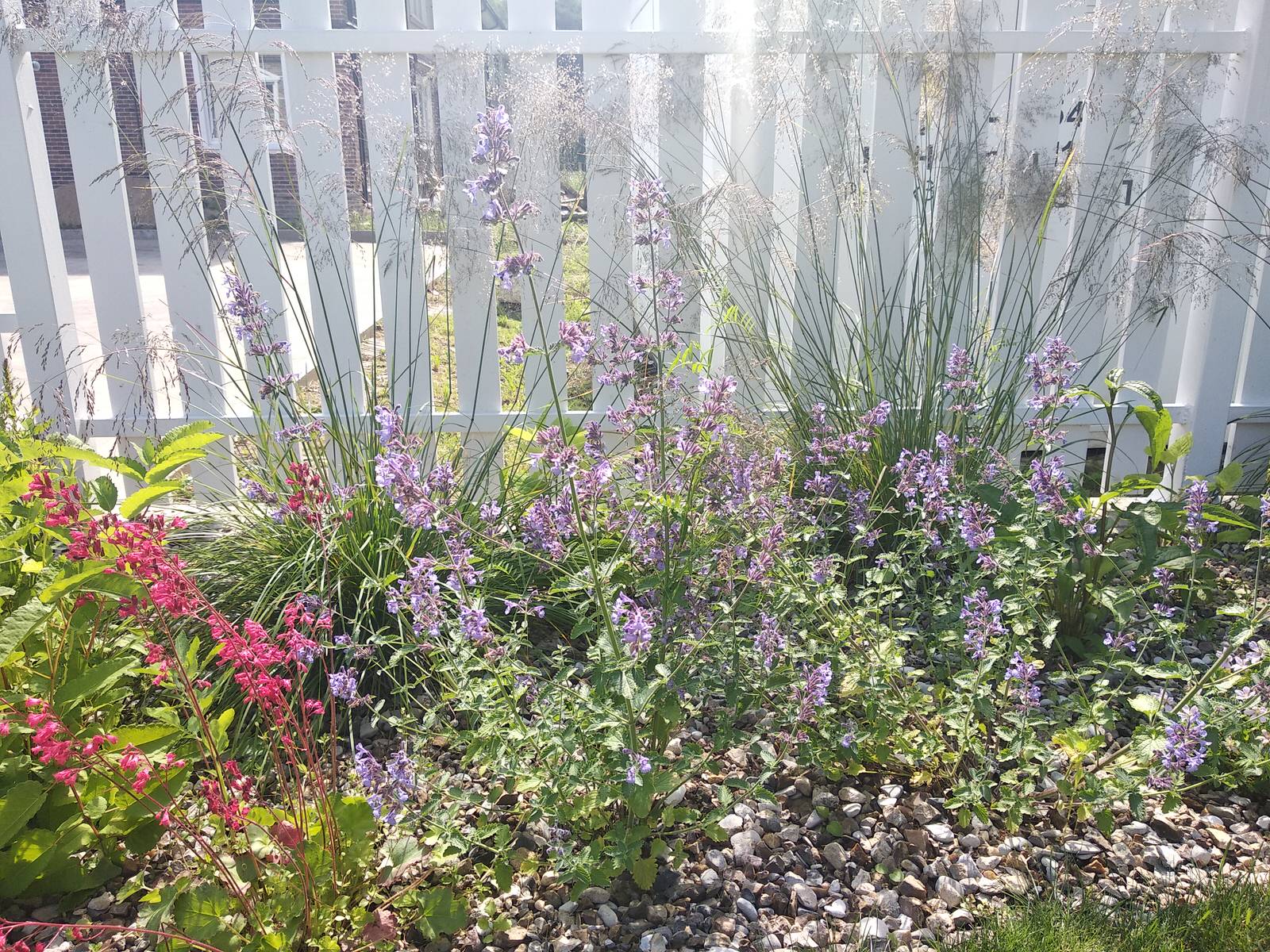 Английский садик