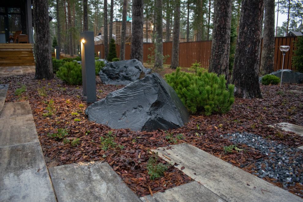 Проект "Волшебное озеро"