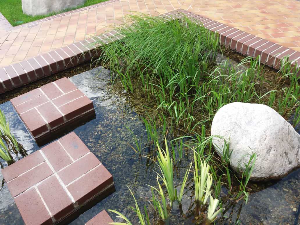 Плавательный водоём в п. Машкачи (Кировская область)