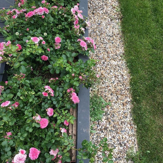 Дом под Рузой