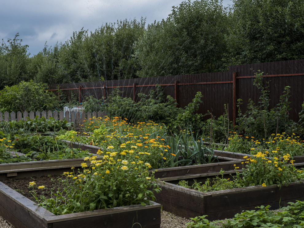 В гостях: Маленький дом-баня  с огородом на приподнятых грядках