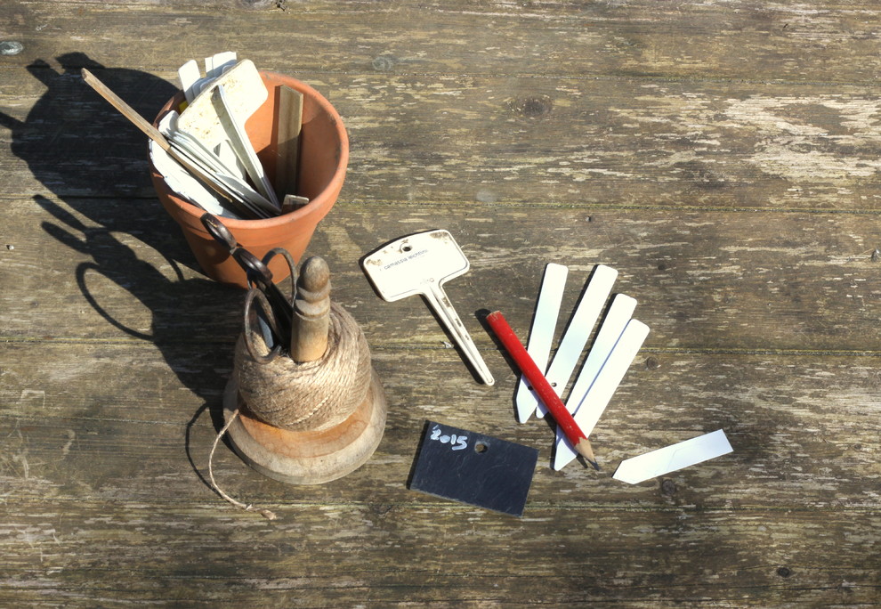 Горшку — место: 14 идей, куда можно поставить растения в кашпо