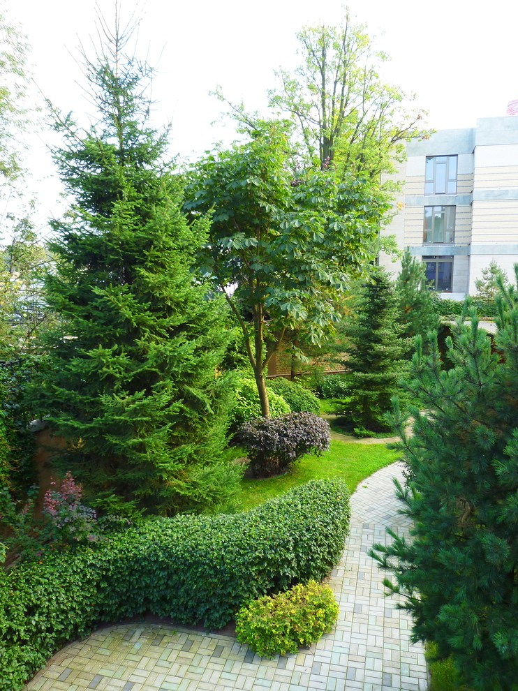 Как правильно: Выбрать деревья для будущего сада