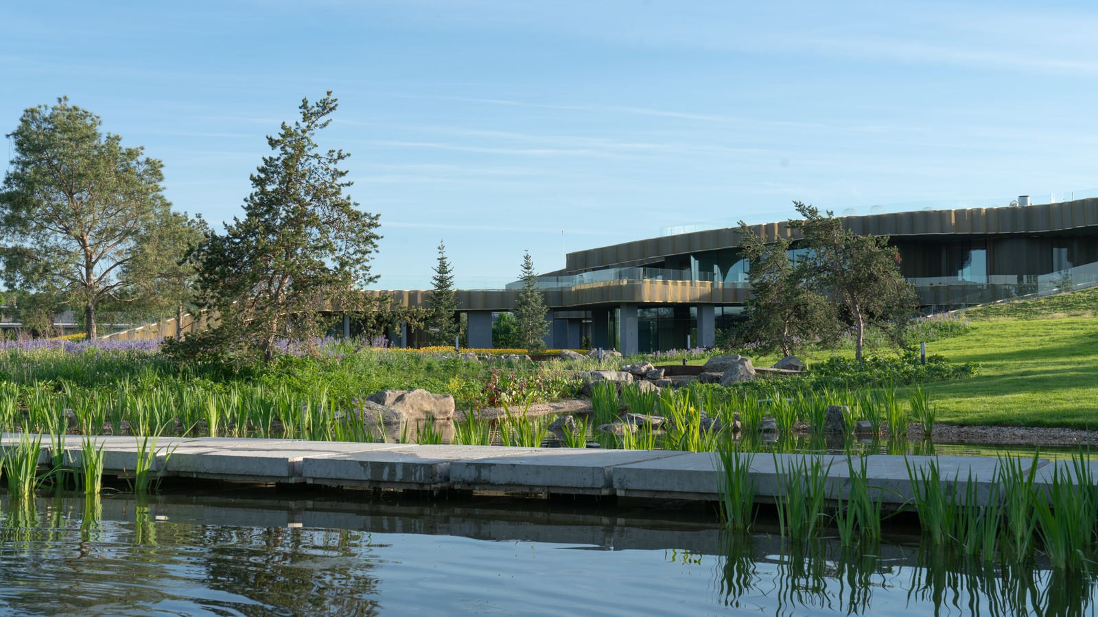 Природный сад. Жуковка XXI век. 2017-2018 гг.