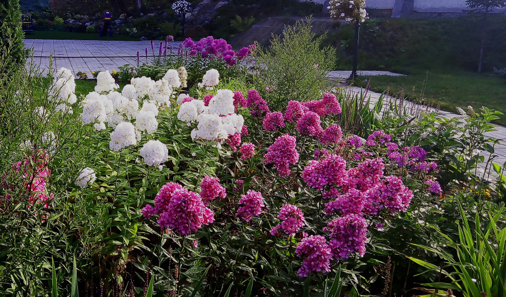 Цветники на территории храма