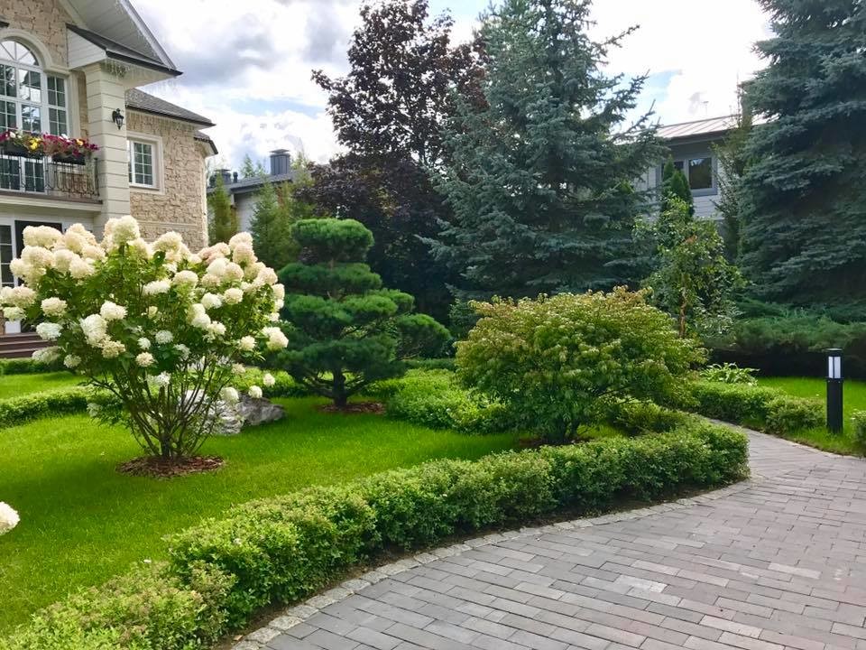 Обложка проекта: осенние краски