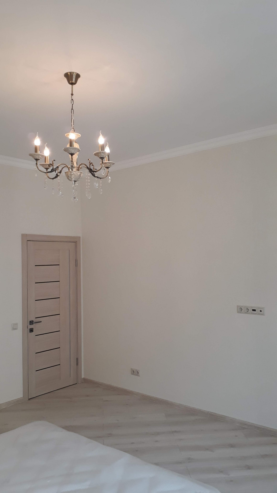 Анатолий Ротарь