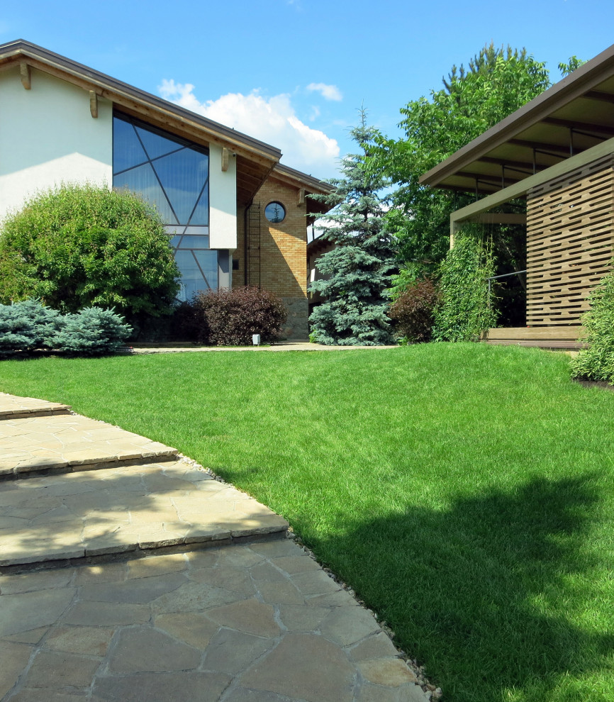 Сад с большими пихтами