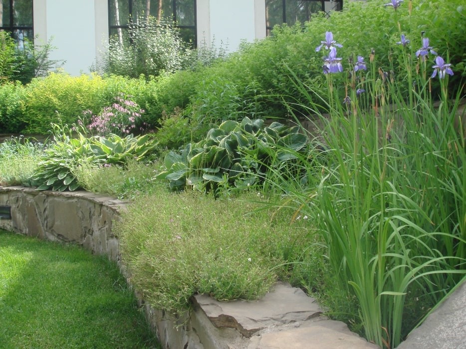 Рублево-Успенское шоссе. 55 соток.