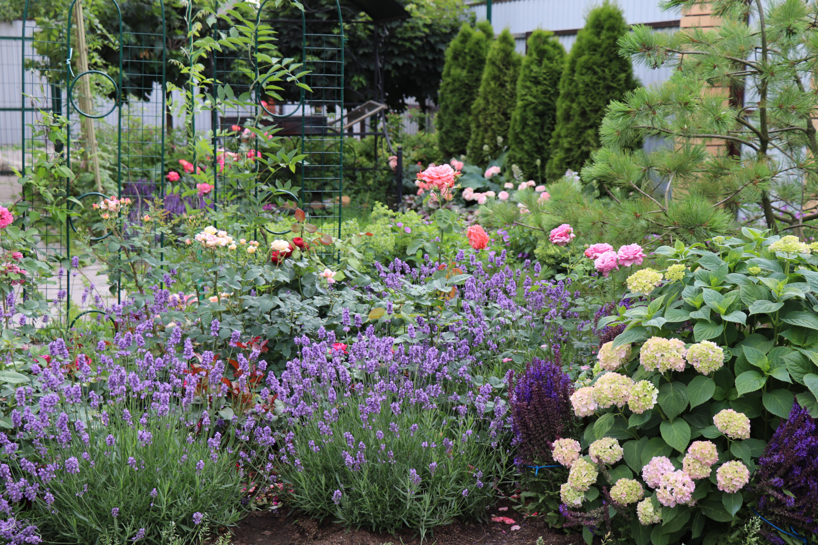 Цветущий сад