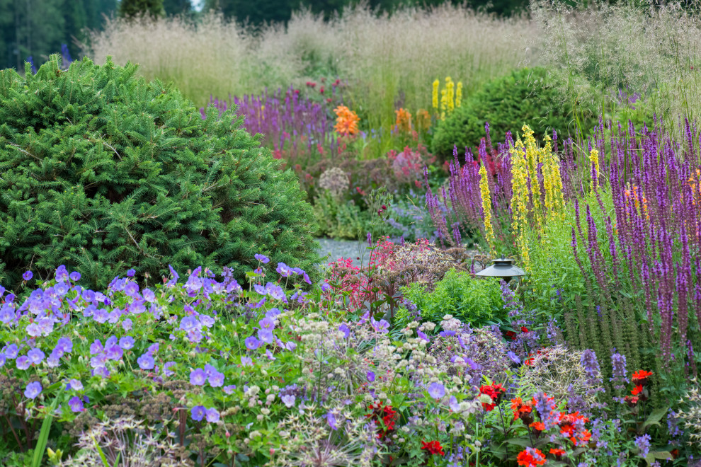 Многолетники