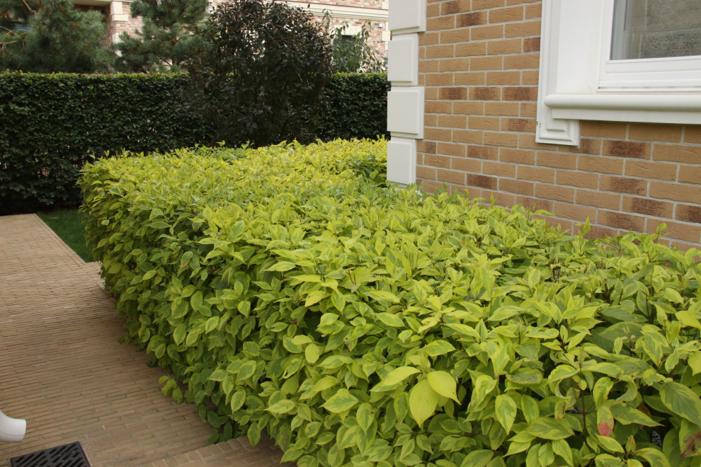 "Fairy Garden.Сад под дубами"