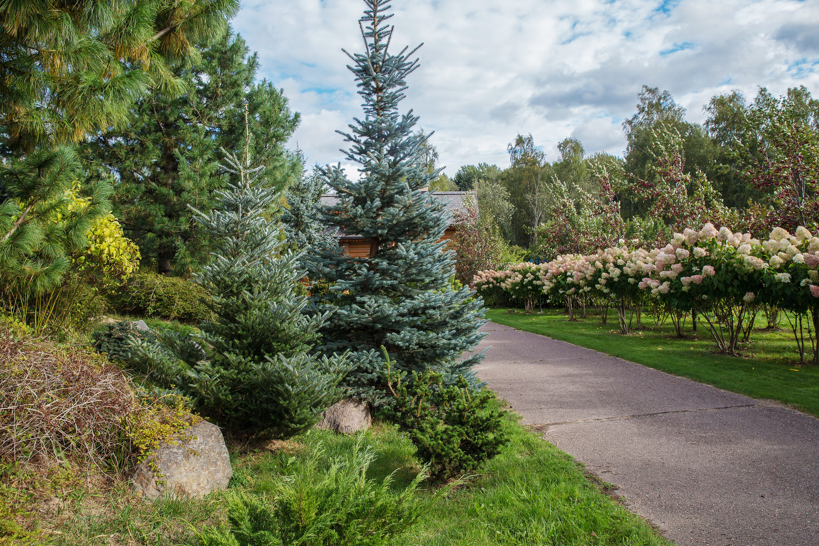 Парк в  Шаховском районе