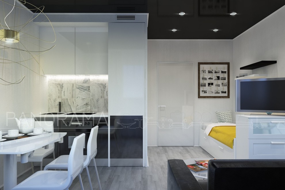 Проект квартиры-студии, S - 26 кв.м.