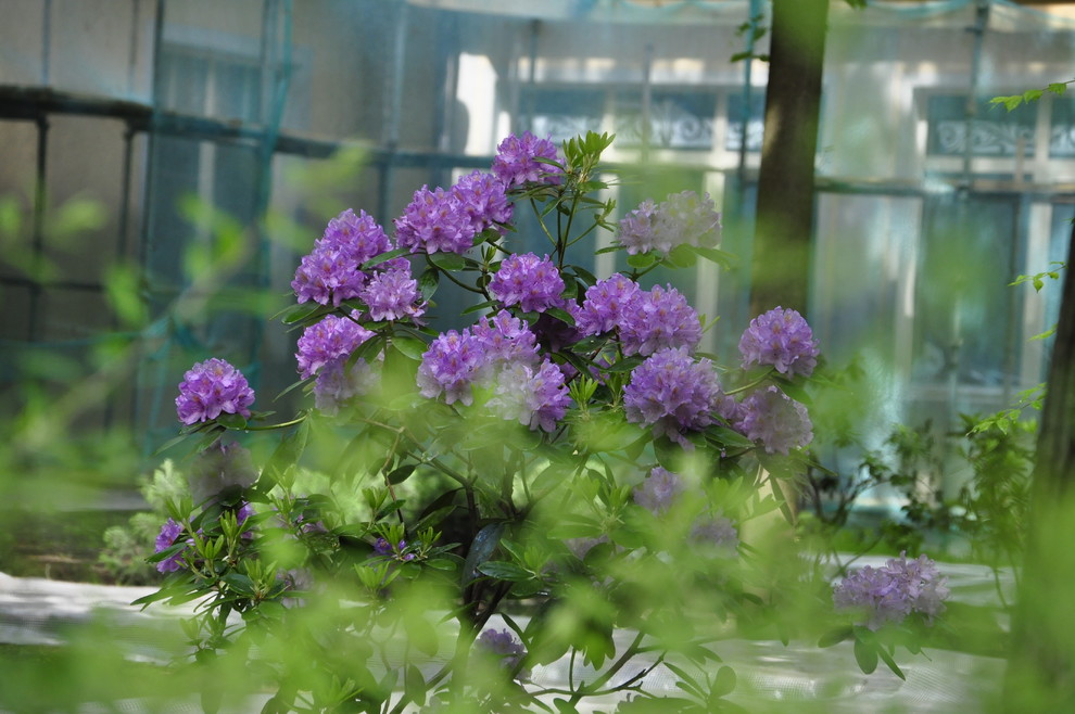 кп. "Архангельское" - Уход за садом - 100% качество!