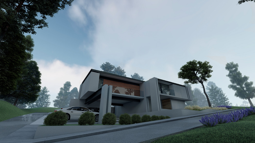 Modern House