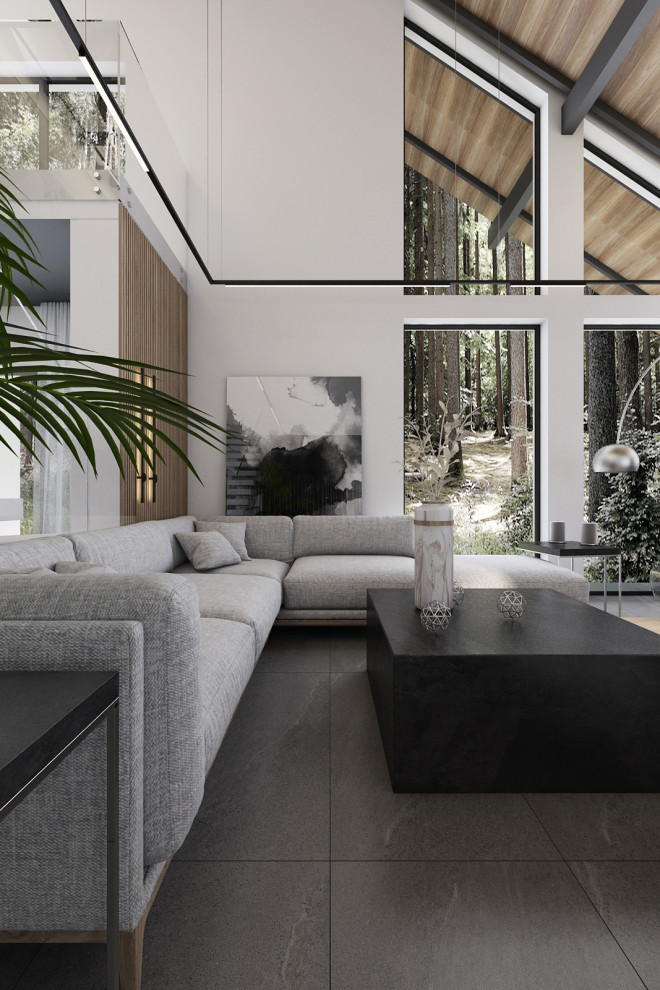 Проект загородного дома в лесу