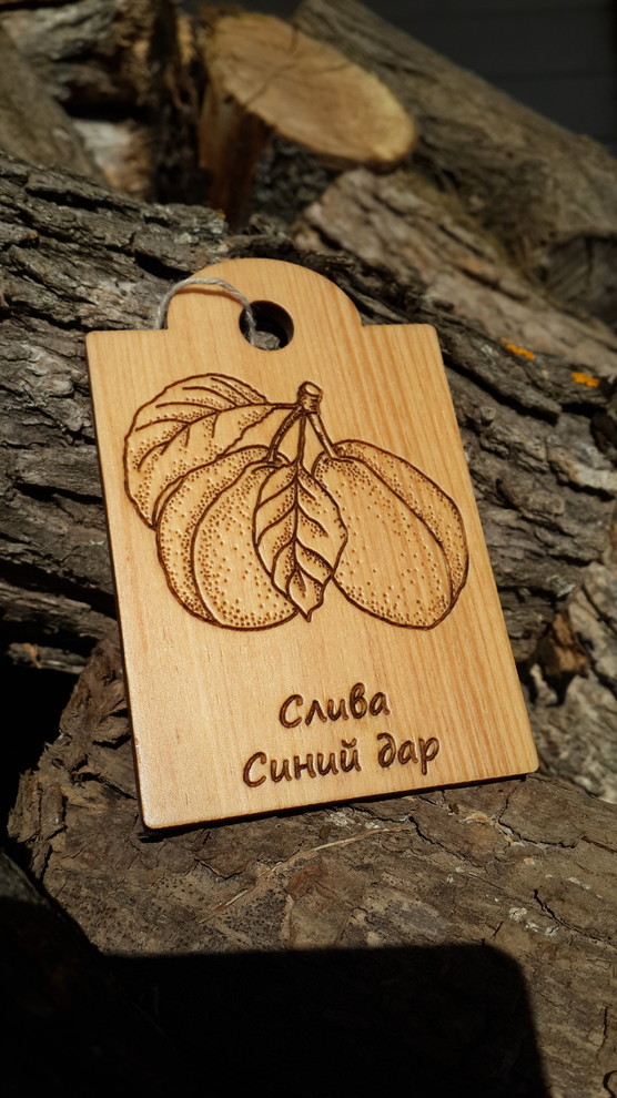 Идеи modnyegriadki